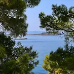 Hotel Aminess Alfir 4*