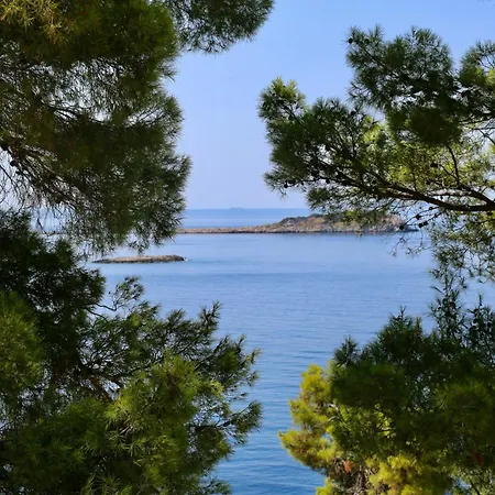 Hotel Aminess Alfir Hotel 4*